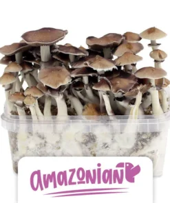 Amazon